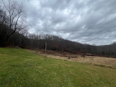 290 Hicks Hollow Rd, Rock, WV 24747 - photo 4