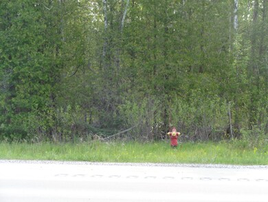 23 frontage hydrant