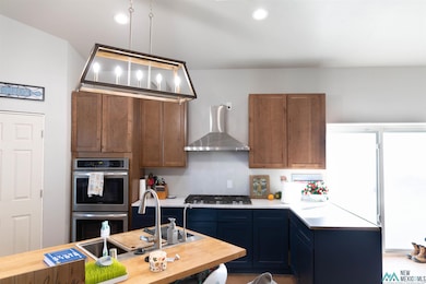 1335 Mcfarland Rd, Carlsbad, NM 88220 - photo 5