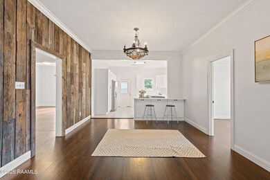 203 E Pioth St, Church Point, LA 70525 - photo 4