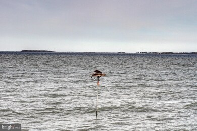 705 Penny Dr, Stevensville, MD 21666 - photo 6