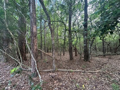 Lot 8 & 9 E Wildwood Dr, Wildwood, TX 77664 - photo 4