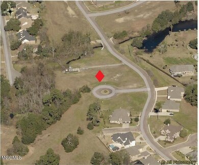 364 Cattail Cove aerial 1