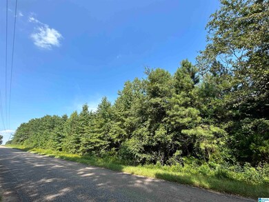 0 County Road 329 unit 9 21364080, Wedowee, AL 36278 - photo 7