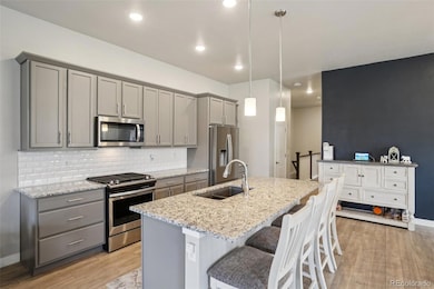 12541 Lake View St, Longmont, CO 80504 - photo 4