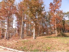 0 White Oak Ln unit 301168, Rutledge, TN 37861 - photo 2