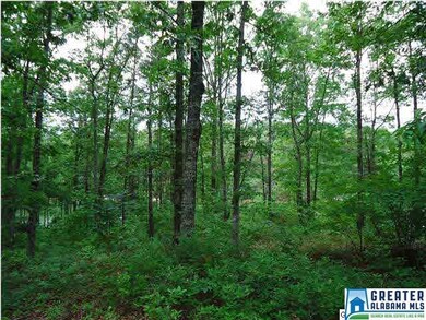 0 Camellia Ln unit 74, Wedowee, AL 36278 - photo 3