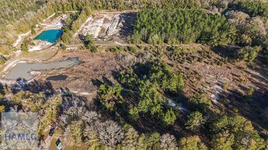 12 Acres Raybon Rd E, Nahunta, GA 31553 - photo 2