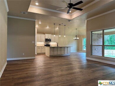 2009 Edna Ln, Troy, TX 76579 - photo 4