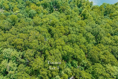 5 N Ridgeline Rd, Cullowhee, NC 28723 - photo 5