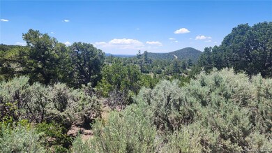 4532 Villa Rd, Fort Garland, CO 81133 - photo 3