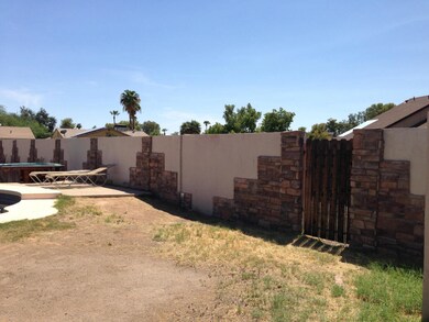 Backyard Wall