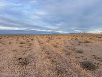 005. East View