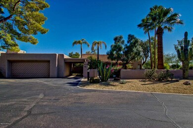 Camelback  #11 (5)