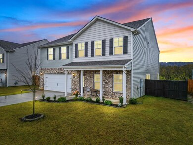 6127 Prickly Loop, Ooltewah, TN 37363 - photo 4