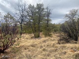 Lot 16 Hoot Owl Trail unit 16, Payson, AZ 85541 - photo 5
