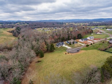 3250 Falcon Trail, Cookeville, TN 38506 - photo 5