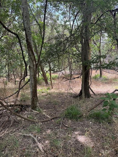 View of local wilderness