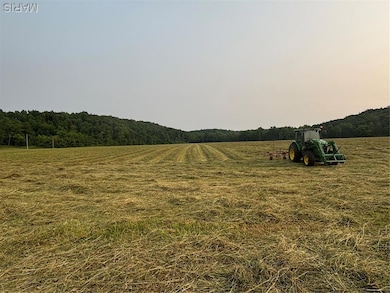 000 Wayne Route D, Greenville, MO 63944 - photo 5