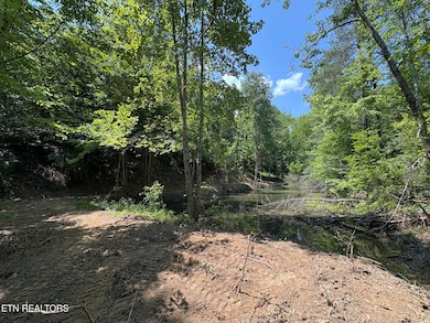 0 Happy Hollow Ln unit 1273078, Sevierville, TN 37876 - photo 6