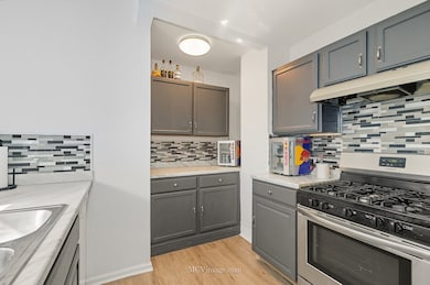 164 S Calumet Ave, Aurora, IL 60506 - photo 7