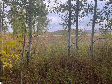 00 E Cherry Ln unit 174, Cedar, MI 49621 - photo 2