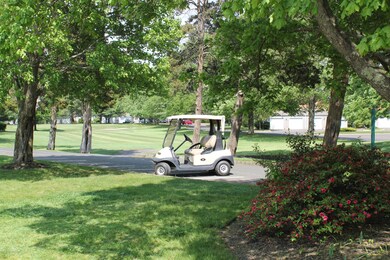 17 Locust Way, Spring Lake, NJ 07762 - photo 6