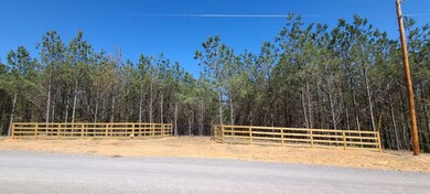 355 Hillbrook Dr, Linden, TN 37096 - photo 2