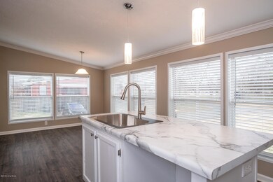 7900 Sherry Lynn Ct, Louisville, KY 40228 - photo 7