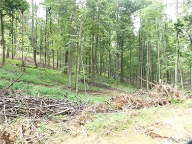 View of local wilderness