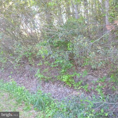 0 Brickhouse unit 1000050219, King George, VA 22485 - photo 4