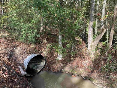 14087 Jackson Rd, Zachary, LA 70791 - photo 6