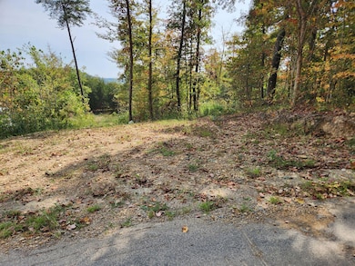 Lot #3 Routt Rd, Wallingford, KY 41093 - photo 2