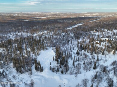 5-web-or-mls-aerial_6226 Redtop Cir05