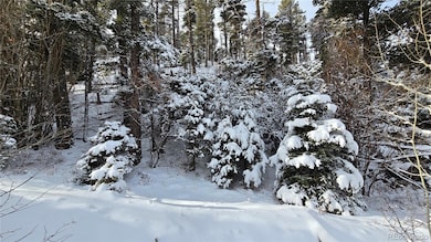 Lot 5540 Joy Rd, Fort Garland, CO 81133 - photo 2