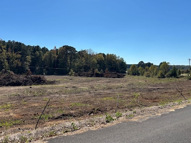 0 Country Ln, Philadelphia, MS 39350 - photo 3