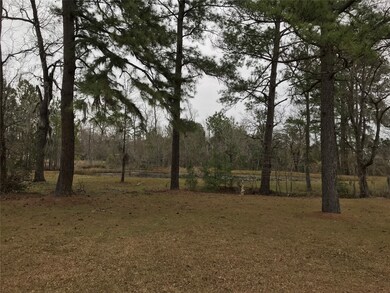 11759 Friendship Ln, Conroe, TX 77385 - photo 7