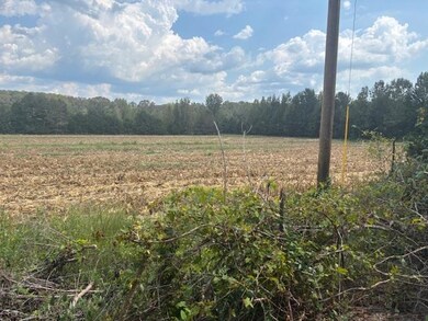 110 Reaves Rd, Middleton, TN 38052 - photo 6