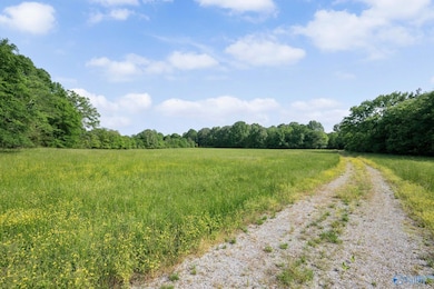 5874 Highway 157, Leighton, AL 35646 - photo 7