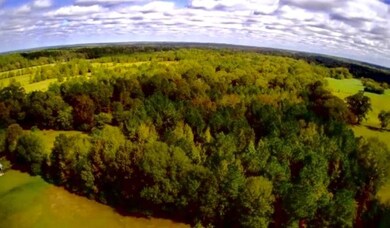 TBD Fm 2497, Lufkin, TX 75904 - photo 6