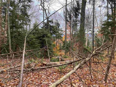 419 Shincracker unit 419 & 420, Wilmington, VT 05363 - photo 4