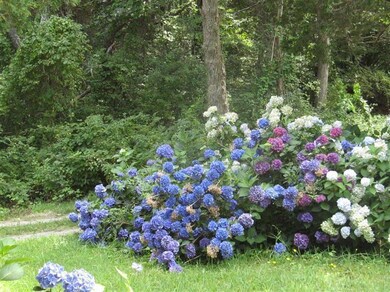 115 Parker Rd, West Barnstable, MA 02668 - photo 3