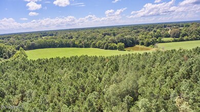 00 Graves Rd, Holly Springs, MS 38635 - photo 6