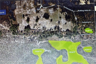 170 Cloverland St, Lake Placid, FL 33852 - photo 2