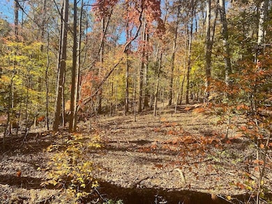 0 Pine Ridge Dr unit LotWP001, Elberton, GA 30635 - photo 3