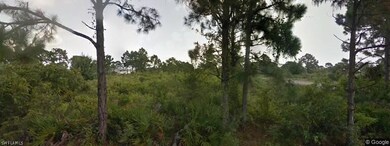 1251 Gennaio St E, Lehigh Acres, FL 33974 - photo 5