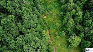 Tract 1 Cook Ln, Cromwell, KY 42733 - photo 5