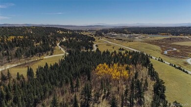 381 Platte River Dr unit 5, Fairplay, CO 80440 - photo 5