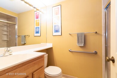 3439 Vollmer Rd unit 101, Flossmoor, IL 60422 - photo 6