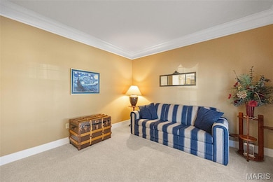 6129 Arbor Green Dr, Saint Louis, MO 63129 - photo 6